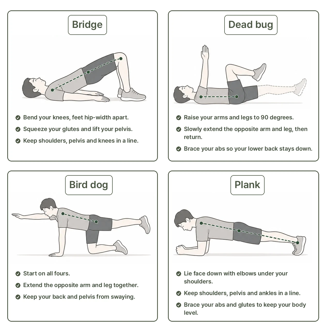 Stage-by-Stage Lower Back Exercises illustration