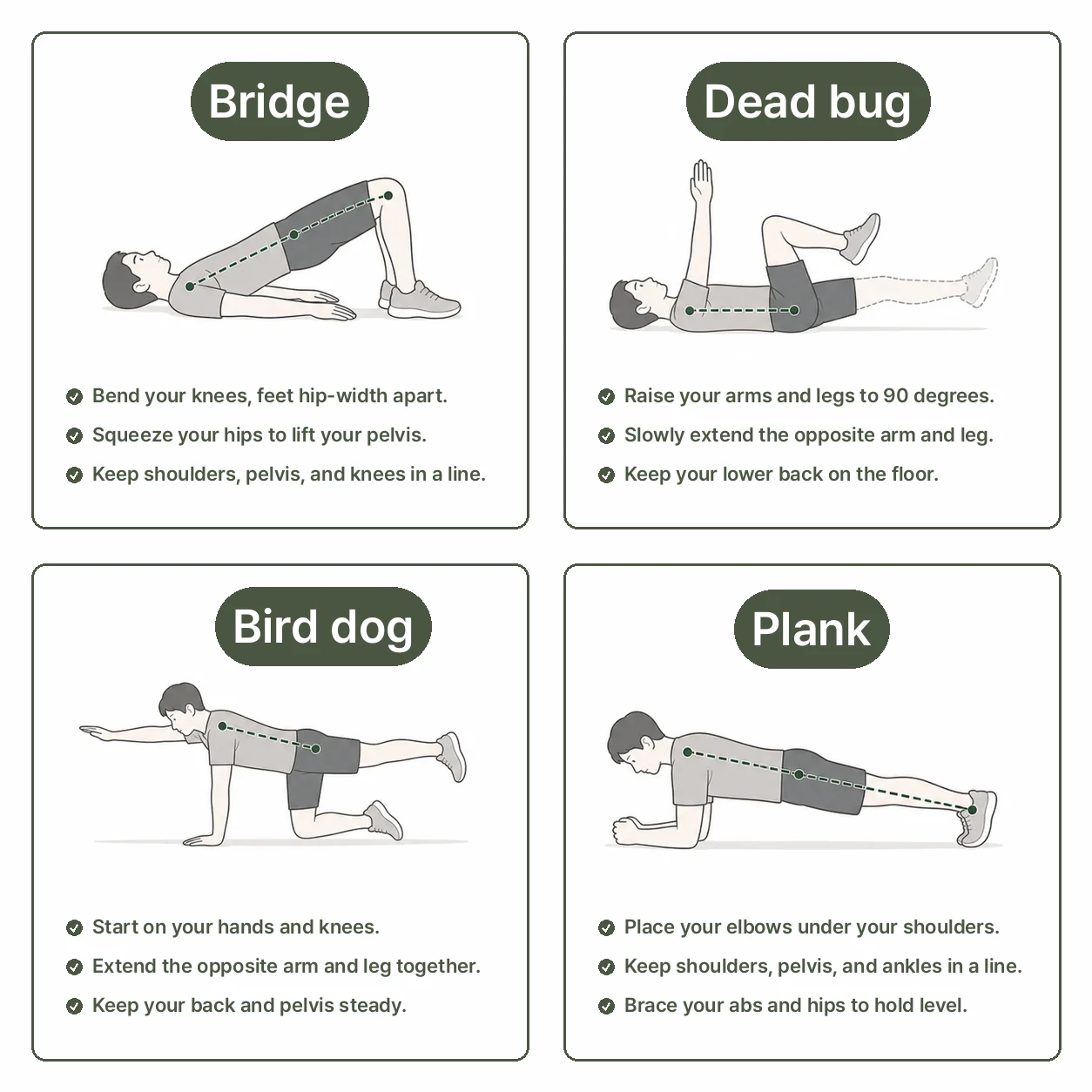What Are Core Muscles? illustration