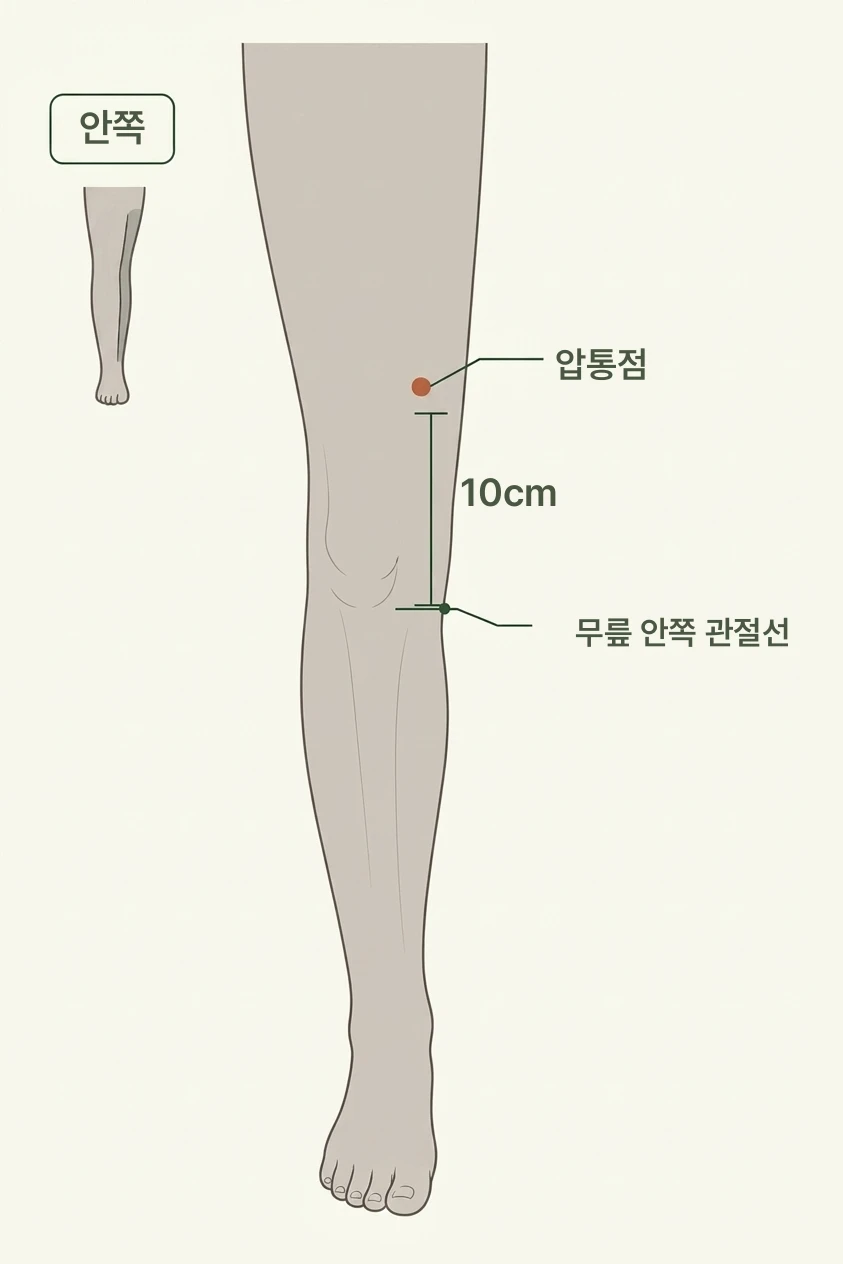 무릎 안쪽과 종아리가 아픈데, 허리가 원인인가요? 설명 이미지