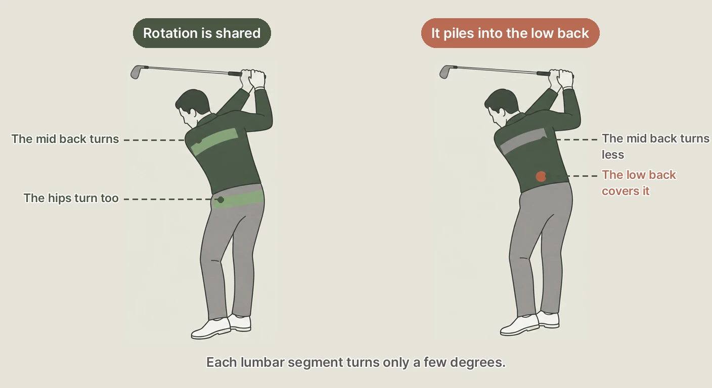 Golf swing rotation shared by the mid back and hips versus piling into the low back