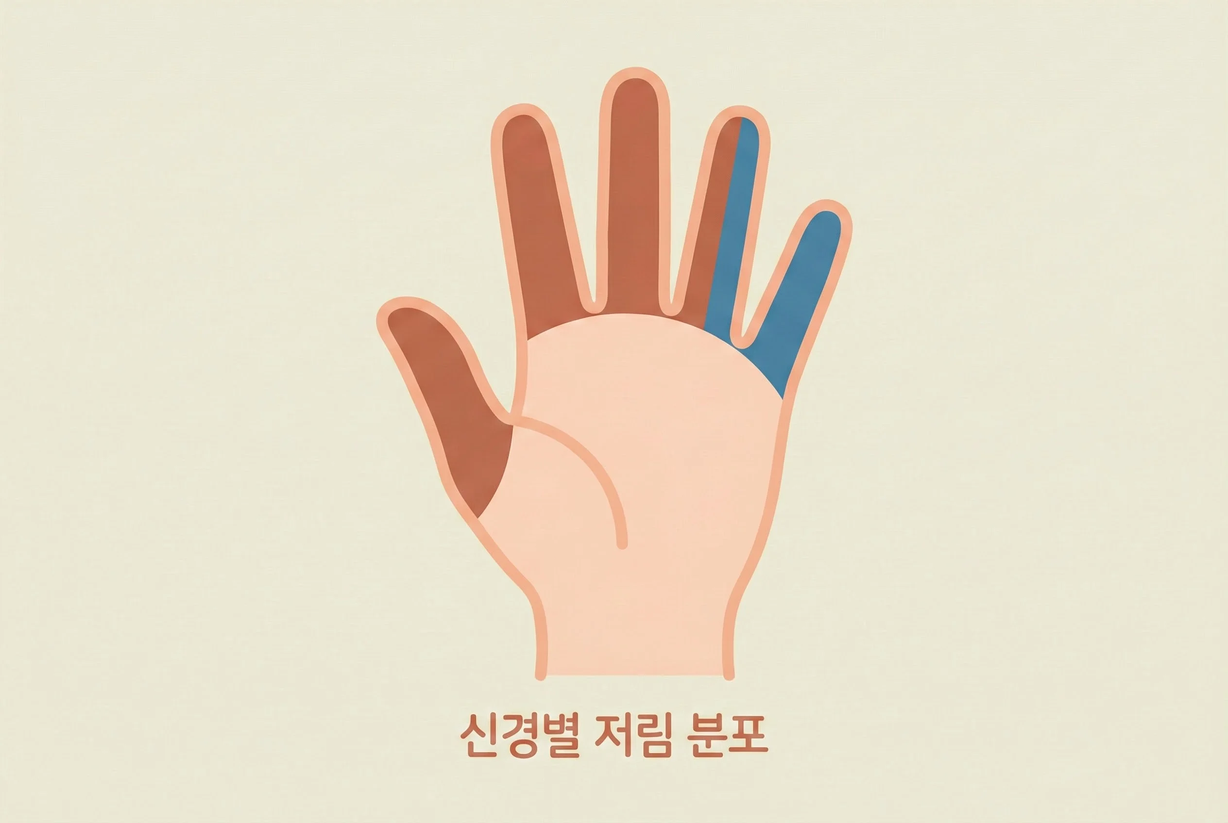 손 저림 부위별 신경 분포 일러스트