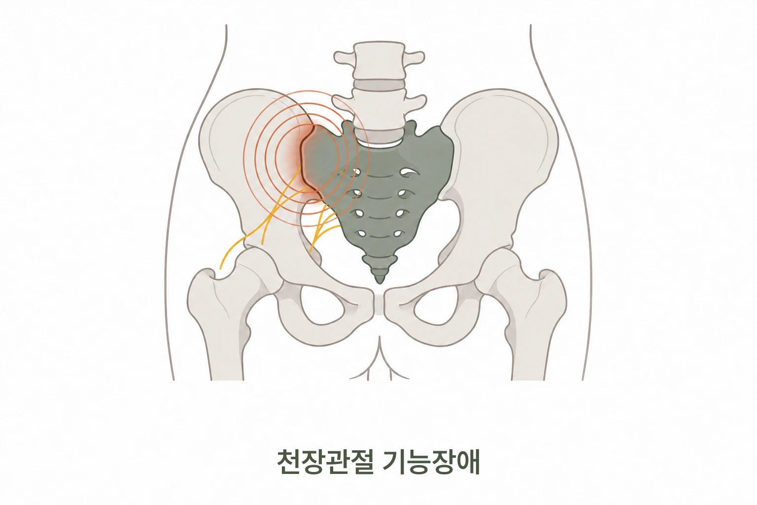 천장관절 위치 일러스트
